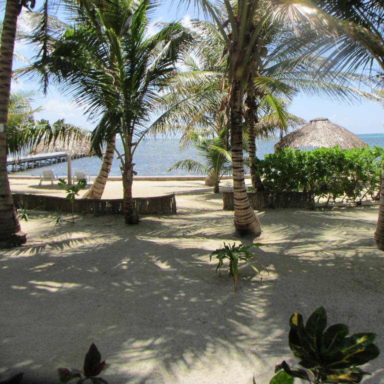 Cocotal Inn And Cabanas San Pedro  Buitenkant foto